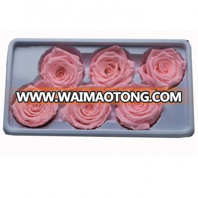 Ifan flower company Waimaotong OEM.ODM available dried flowers wholesale preserved flowers