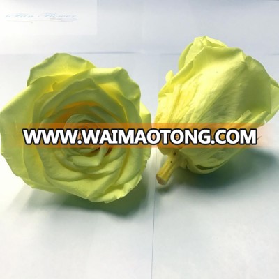 Best selling wedding decoration never fade rose flower