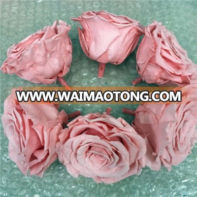 Romantic birthday gifts girl fresh cut rose varieties wholesale flowers