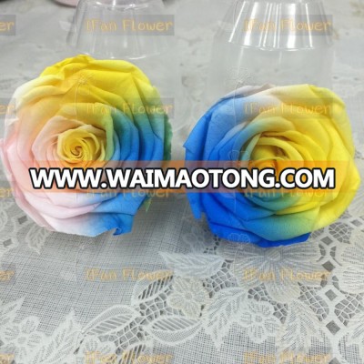 Japan flower preserved rose rainbow color