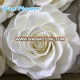 Large stock light pink Christmas decorations eternal roses fresh 5-6 cm preserved flowers