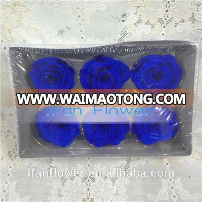 wholesale preserved rose black in giftbox for friend