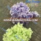 Bottom price best choice never faded eternal flower preserved hydrangea