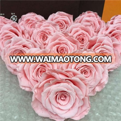 luxury and colorful preserved fresh flower forever dried pink rose