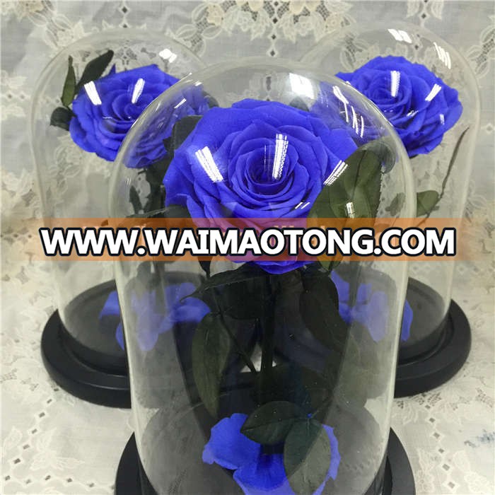 New design natural premium preserved flower in dome for table centerpieces