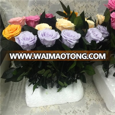 2017 china manufacturer unfading colorful rose bouquet flowers decoration wedding