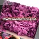 For best friend EXCELLENT quality preserved flowers hydrangea