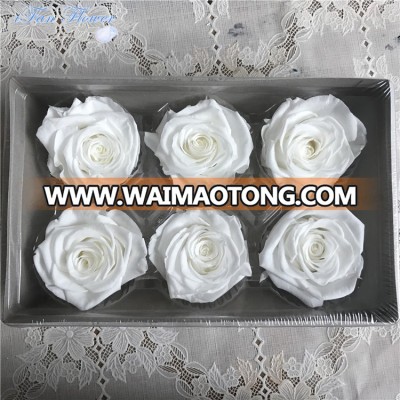 Wholesale grade A real preserved roses head from kunming