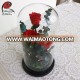 preserved beauty and the beast eternal rose in glass dome