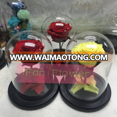 Customized factory price real rose long lasting in glass dome wholesale