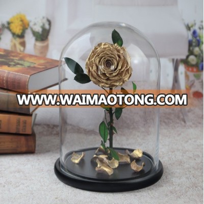 The hottest preserved gold rose eternal real touch flower in glass