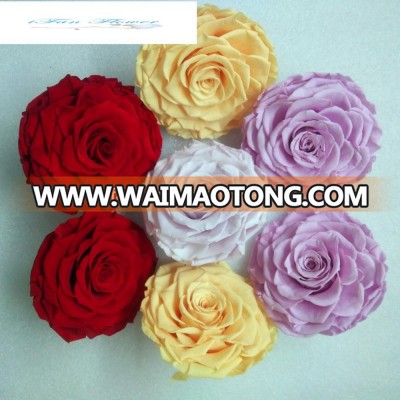 wholesale romantic preserved wedding decoration real touch rose flowers