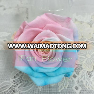 Hot sell wedding decoration preserved rose flower