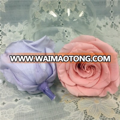 2017 new arrival styles preserved everlasting natural rose for decoration