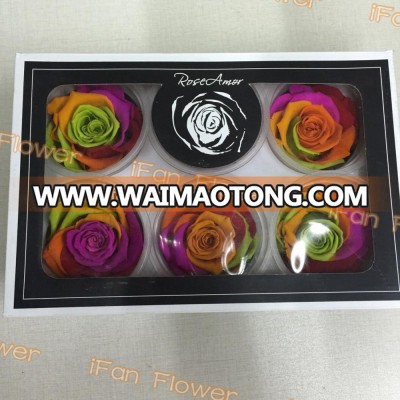 Best price flower preserved rose head special gift