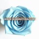 Hot sale class wholesale price natural preserved roses everlasting rose flower