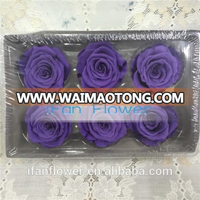 Wholesale Preserved Roses Valentines Day Discount high quality floral rose