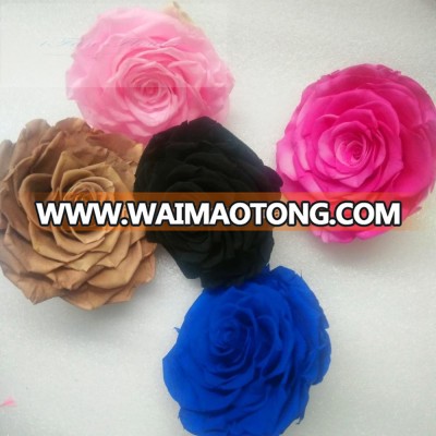 Permanent preserved black rose flowers online shop china for special one