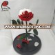 wholesale preserved inartificial flowers rose in glass for wedding decoration all occasions