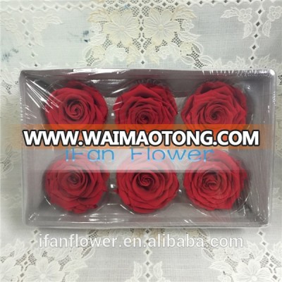 Top one style big bud preserved real touch red rose in gift box for girlfriend