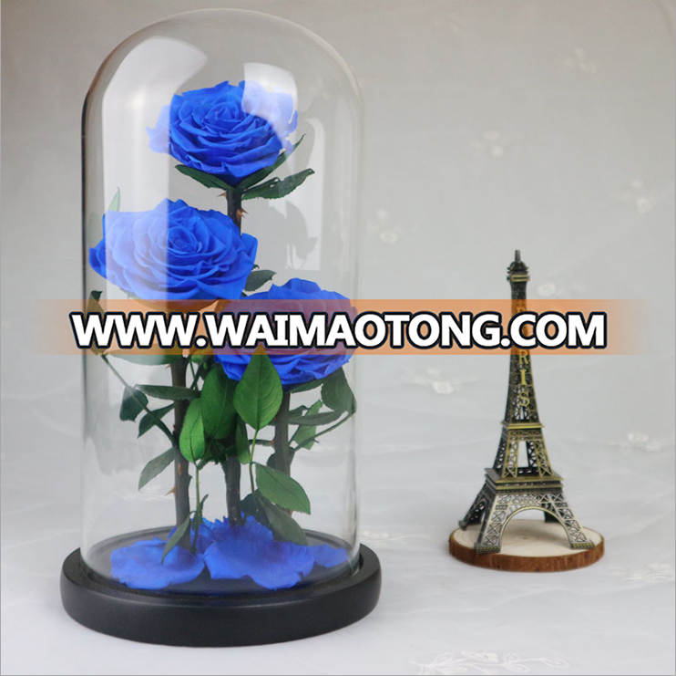 wholesale A grade natural preserved rose 10cm in big glass for luxury gift