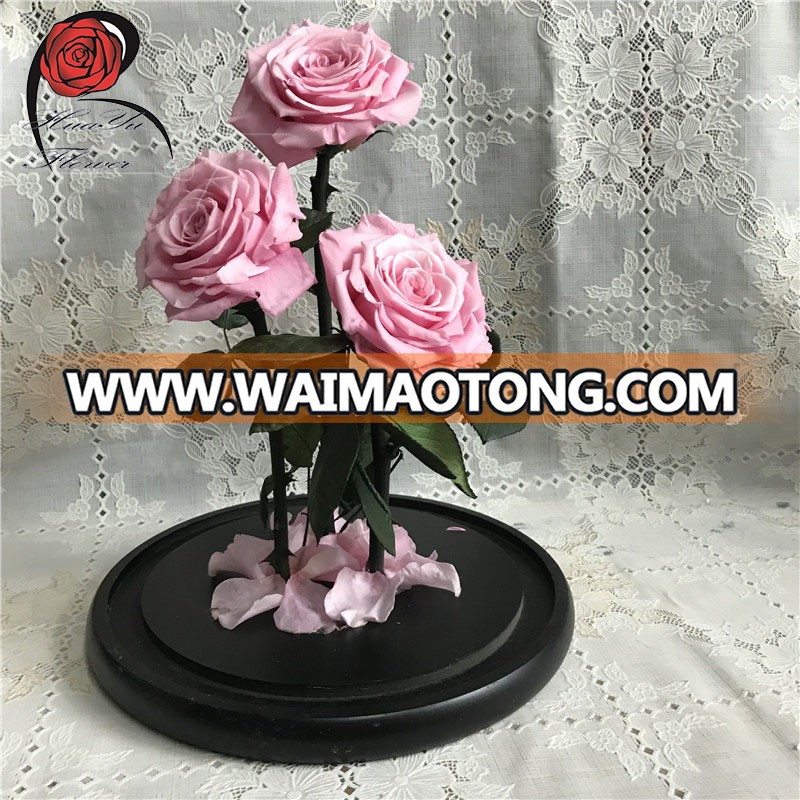 wholesale ecuador preserved rose flowers in glass dome